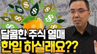 주식나무에서 100억 돈다발이 쏟아진다돈 나오는 주식나무 하나씩 드립니다!!