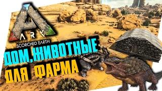 ARK: SCORCHED EARTH - НЕЖАРКИЙ КАМЕННЫЙ ДОМ, ЖИВОТНЫЕ ДЛЯ СТРОИТЕЛЬСТВА