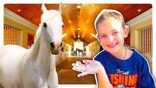 Vlog Riding Equestrian sportivnii club "Hope"