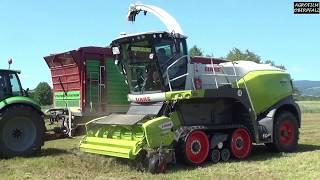 Jaguar auf Ketten - Claas Jaguar 960 TT - Landwirtschafliche Transporte Fries