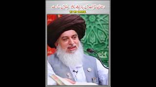 Hafiz ki tarbiyat | Allama Khadim Hussain Rizvi | Shorts Status | #tlpbspofficial