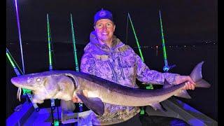 More big October St Croix Whisker fish! (Sturgeon and Catfish)