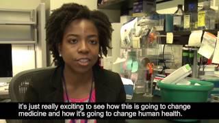 NIAMS Intramural Research Program at Work