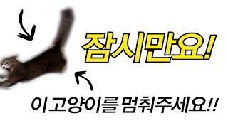 부탁드립니다!!!