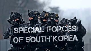 Special Forces of South Korea - 2020 - 대한민국 특수부대가 모두 모였다