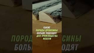 Какое дерево лучше подходит для изготовления мебели ? #мебель #дизайнмебели #мебельизмассива