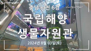 [서천 6경] 국립해양생물자원관(생명의 탑이 장관!!)