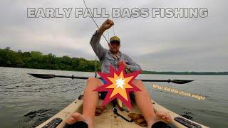 Fall Transition Bass Fishing - Minnesota Largemouth Bass