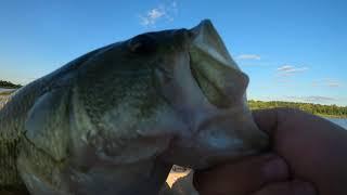 Secret Hidden Lake FULL of BASS? - Central Minnesota Fishing