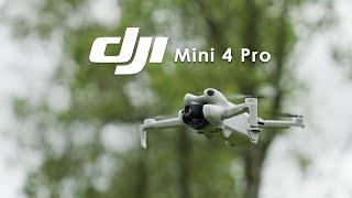 Review | DJI Mini 4 Pro - the BEST small drone for photographers and videographers?