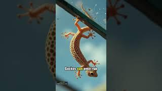 Gecko's Secret Superpower: Sticky Feet Explained! #animals #reptiles #curiosity #wildlife