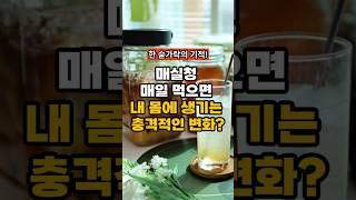 매실청 매일 먹으면 내 몸에 생기는 충격적인 변화! #건강 #건강정보 #매실청효능