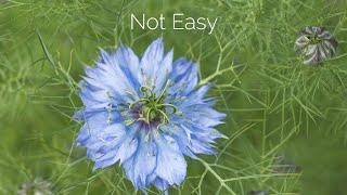 Photography is Hard: Ignore the Quick Fix Advice
