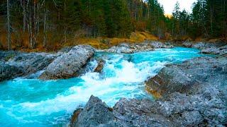 Mountain River Waterfall Flowing 24/7. Water Sounds, Nature White Noise. River Sounds for Sleeping.