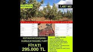Kütahya Tavşanlı kuruçay'da 7497 m² Arazi 295.000 TL.  0532 393 93 62