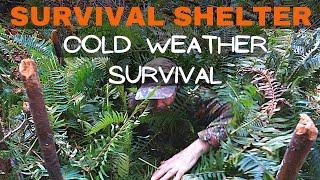 Building Emergency Survival Shelter | Nest in the Woods