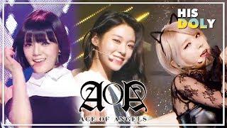 AOA Special Since 'ELVIS' to 'Bingle Bangle' (1h 6m Stage Compilation)