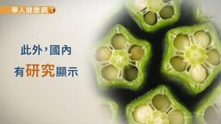 【華人健康網】健康小學堂   減肥、控血糖、補鈣 就吃「綠色人參」秋葵這一味