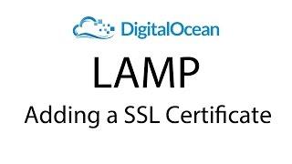 Adding SSL Certificate (Let's Encrypt) with Digital Ocean - LAMP