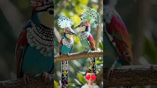 Beautiful Birds Couples ️ #birds#birdslover #birdslover  #naturephotography #shots #cute