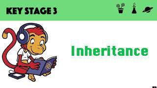 Inheritance