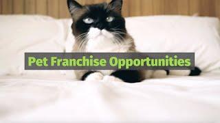 Why Pet Franchise Opportunities are Purrrrrfect!