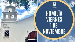 Homilía Viernes 1 de Noviembre  2024 -  Parroquia Santa María de los Ángeles