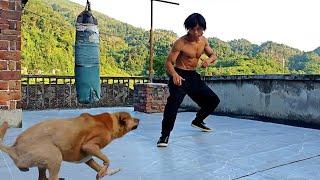 KUNGFU VS DOG WORKOUTS || MARTIAL ARTS MOVEMENTS #fitness #workout #kungfu #healthtips #petlover