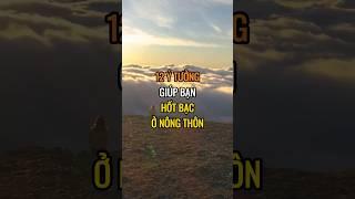 12 Ý tưởng giúp bạn hốt bạc ở nông thôn.