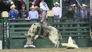 Colton Kelly Wins Reno Rodeo With 87-Point Ride in Finals