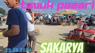 25.08.2024  Sakarya tavuk pazarı