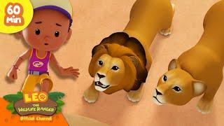 BATTLE OF THE BRAVEST!  | Courageous Animals | Leo the Wildlife Ranger | Kids Cartoons