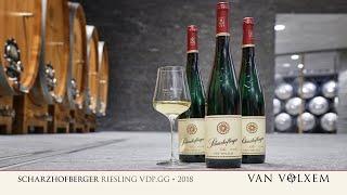 Van Volxem Scharzhofberger Riesling VDP.GG 2018 - Probe