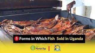 #5 Forms in which Fish is Sold || Markets and Marketing