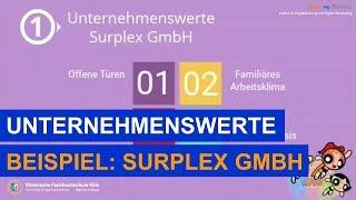 Unternehmenswerte am Beispiel der Surplex GmbH