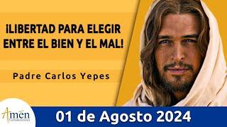 Evangelio De Hoy Jueves 01 Agosto 2024 l Padre Carlos Yepes l Biblia l San Mateo 13,47-53