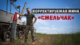 Высокоточная корректируемая мина "Смельчак" | Попасть в человека в поле с 9км | Миномет "Тюльпан"