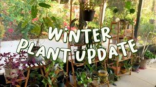 My Mom's House Plant and Garden Updates | WINTER 2022 FLORIDA PLANT TOUR