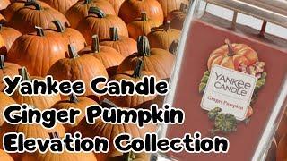 Yankee Candle Elevation Collection Review | Ginger Pumpkin | Pure Radiance Dupe