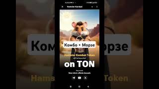 Hamster Kombat- Комбо + Азбука 15 июля, как запустить Хомяка. #hamsterkombat #p2e #nft #airdrop