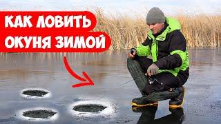 Как ловить ОКУНЯ со ЛЬДА и на что!? Ловля на БАЛАНСИР, МОРМЫШКУ, БАЛДУ зимой на льду