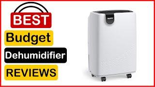   Best Budget Dehumidifier For Basement In 2023  Top 5 Tested & Buying Guide