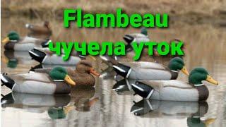 Flambeau чучела уток. Обзор чучел для охоты.  Сравнение новых и б/у