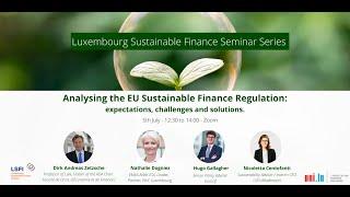 Analysing the EU Sustainable Finance Regulation: expectations, challenges and solutions