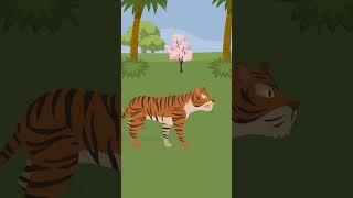 Himmat | The Jungle Story | Cartoons | #moralstories