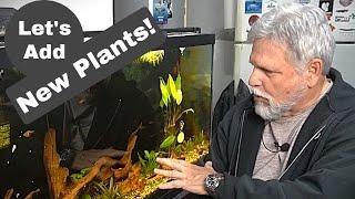 Let’s Unbox Plants from The Aquarium Co-Op!