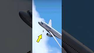 Pilot Falls From Plane Into Water During Flight In Grand Theft Auto 5