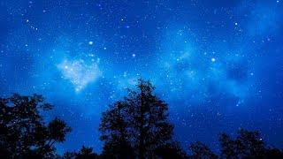 Relaxing Harp Music: Rain & Thunder, Sleep Music, Relaxing Music, Sleeping Music, Fall Asleep 120