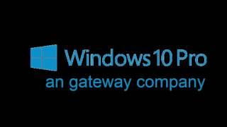 windows 10 Pro logo 2