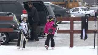 Anastasia Golubeva & Maria Golubeva. little foxes are skiing downhill / Foxes